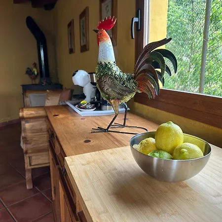 Madrecitas 컨트리하우스