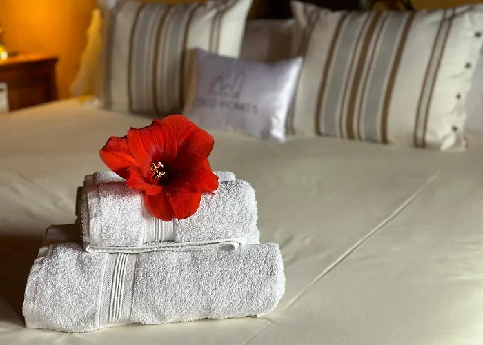 Madrecitas Ля Оротава