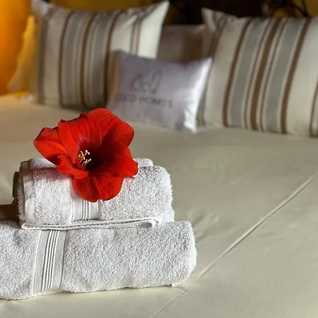 Madrecitas La Orotava