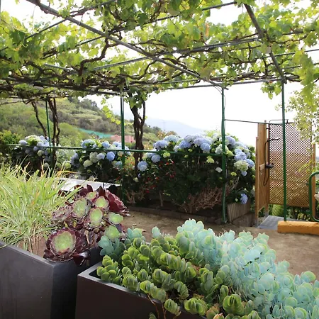 Madrecitas Gospodarstwo wiejskie *