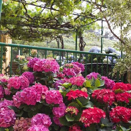 Madrecitas Gospodarstwo wiejskie