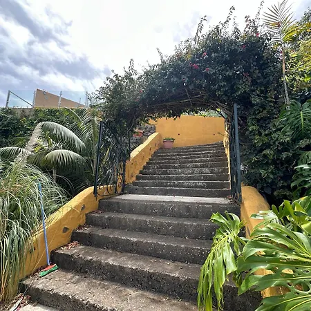 Madrecitas Gospodarstwo wiejskie La Orotava